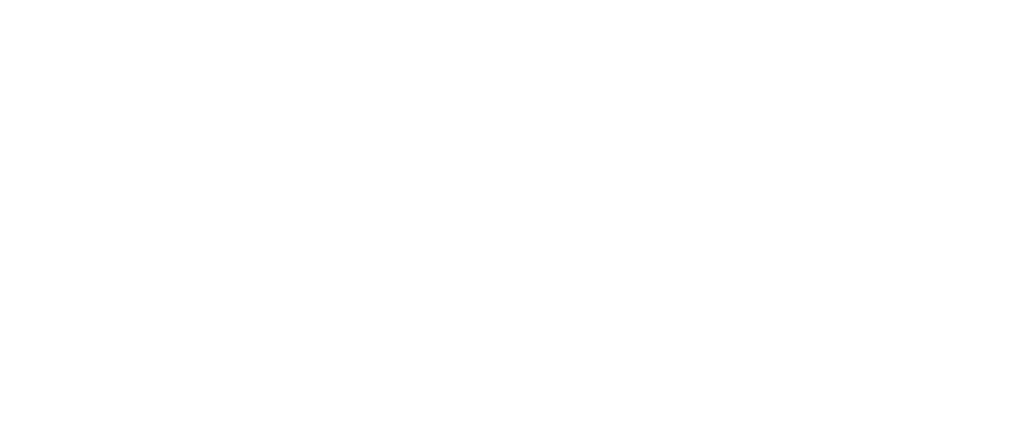 Preciso Consultoría